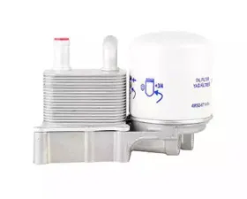 BSG 30-506-002 BSG масляный радиатор, двигательное масло